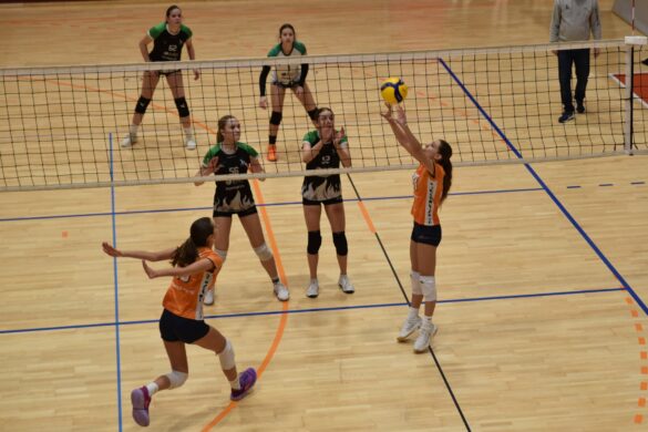 f.DavidBabič_Hoče 250126_zmDSC_7815